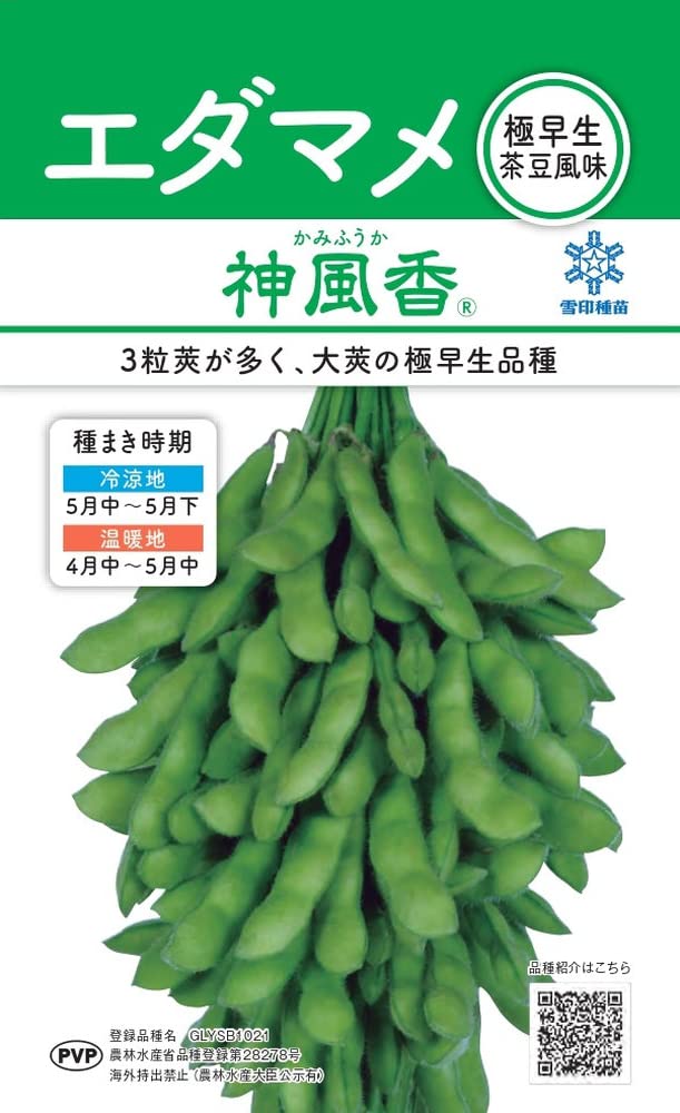 Amazon.co.jp: 雪印種苗 エダマメ 神風香 （かみふうか） : DIY・工具